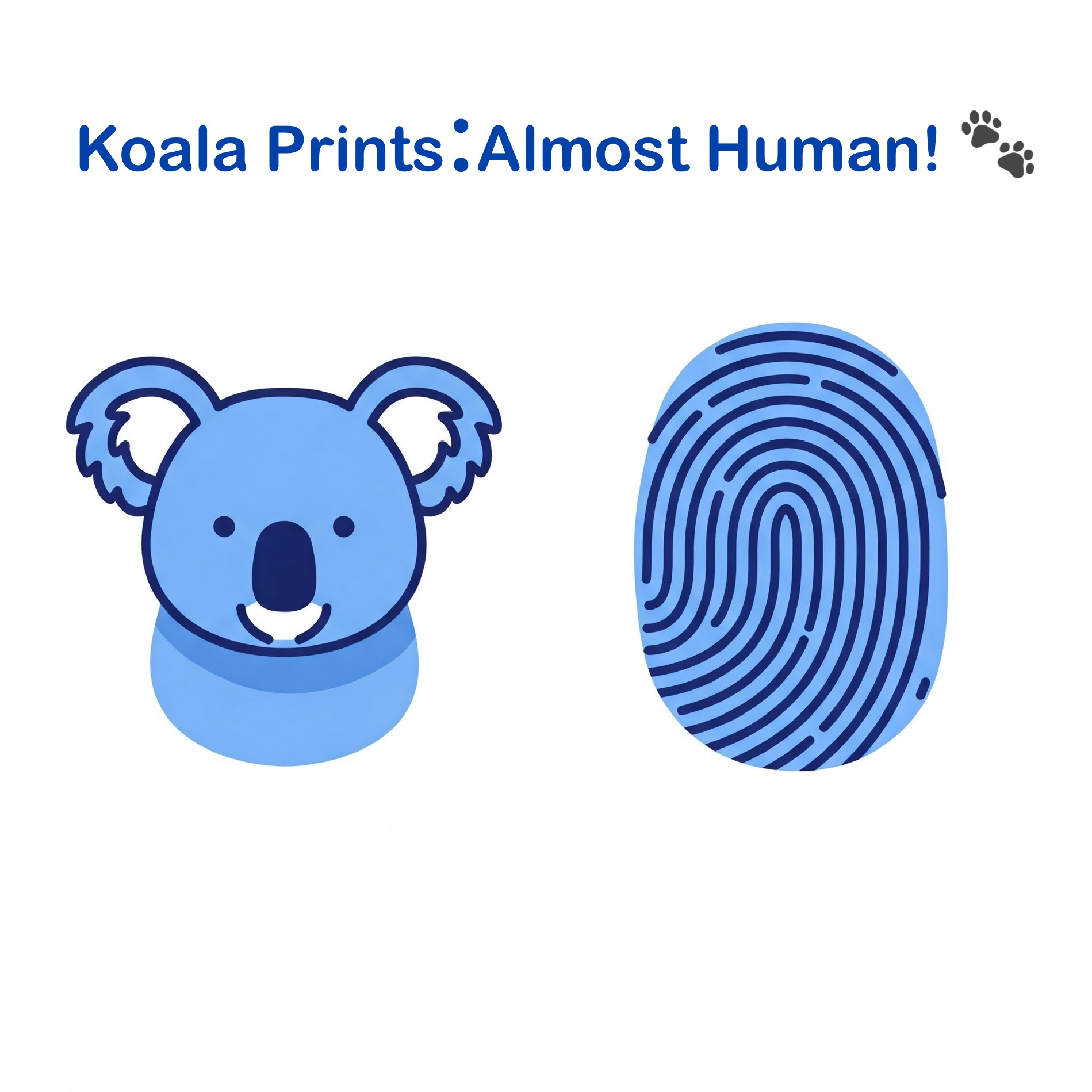 photo of Koala Fingerprints-Natures Unexpected Doppelgangers